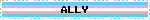 trans ally